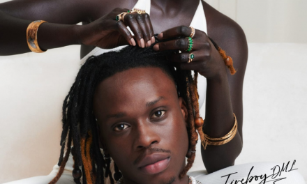 FRESH MUSIC: FIREBOY DML – PLAYBOY (THE ALBUM)
